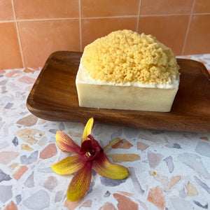 Natural Sea Sponge Soap