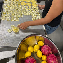 Load image into Gallery viewer, slicing and preparing lemon for the dehydrator
