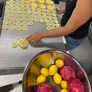 slicing and preparing lemon for the dehydrator
