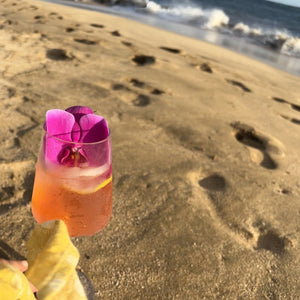 DIY Craft Cocktail Infusion Package: Haleakala Sunset